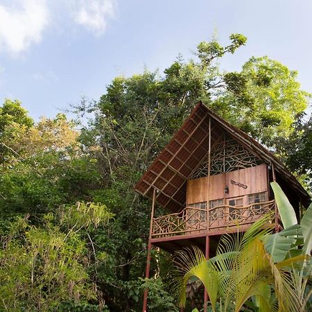 Bio Thermales Hot Springs Villa Palmera ภายนอก รูปภาพ