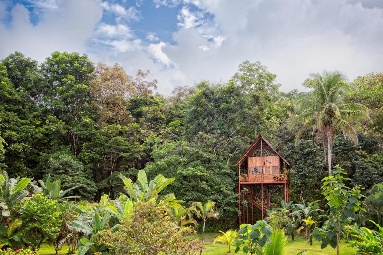 Bio Thermales Hot Springs Villa Palmera ภายนอก รูปภาพ