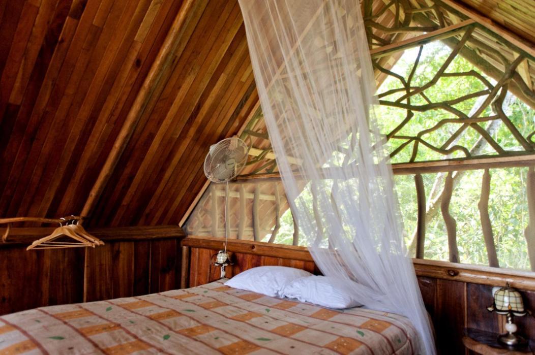 Bio Thermales Hot Springs Villa Palmera ภายนอก รูปภาพ