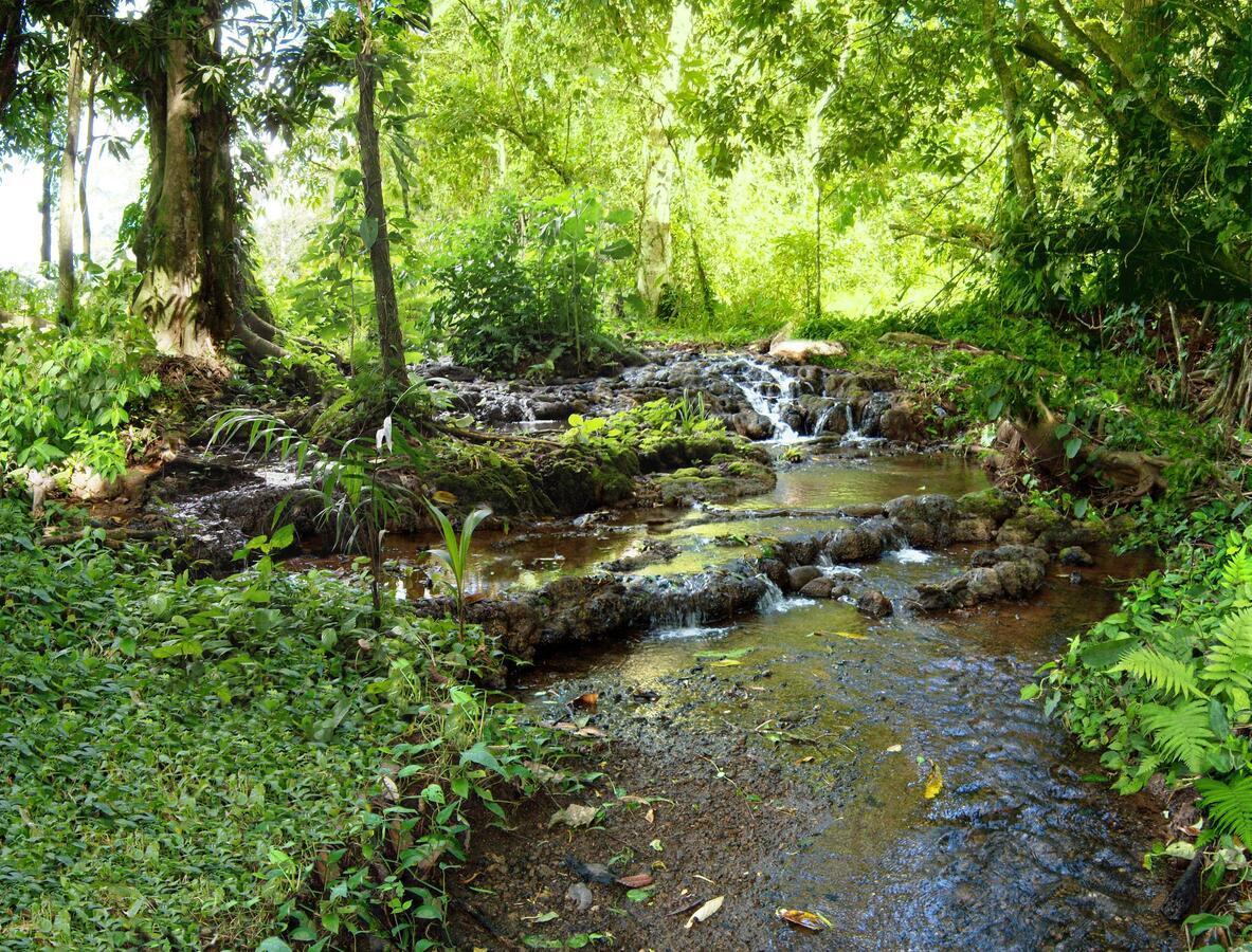 Bio Thermales Hot Springs Villa Palmera ภายนอก รูปภาพ