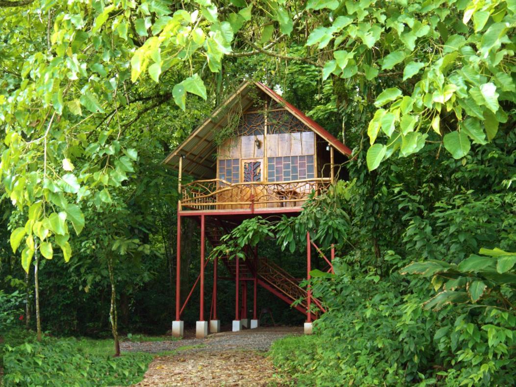 Bio Thermales Hot Springs Villa Palmera ภายนอก รูปภาพ